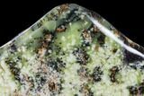 Polished, Free-standing, Green Dendritic Agate - Madagascar #113673-1
